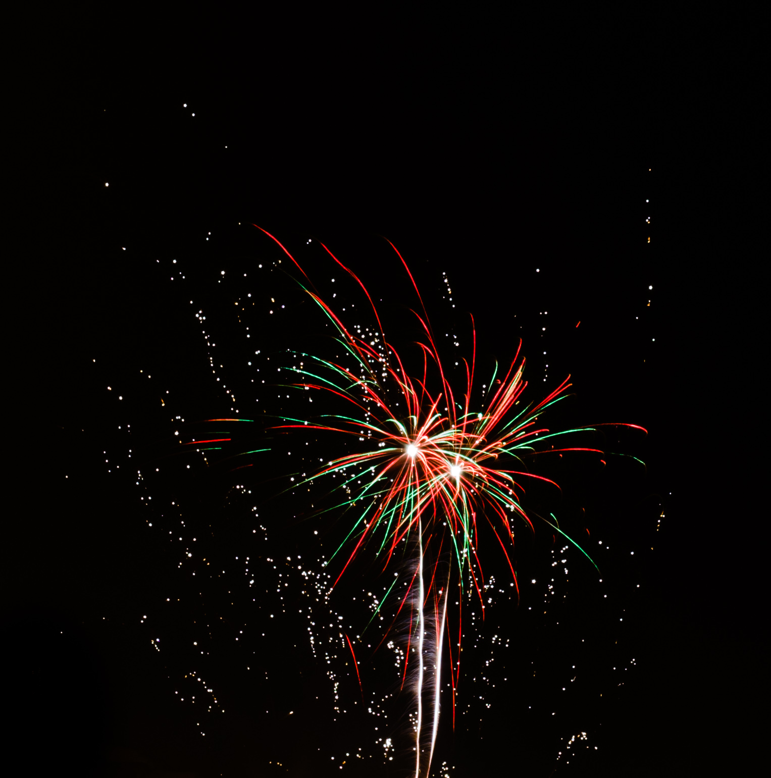 fig/silvester.jpg